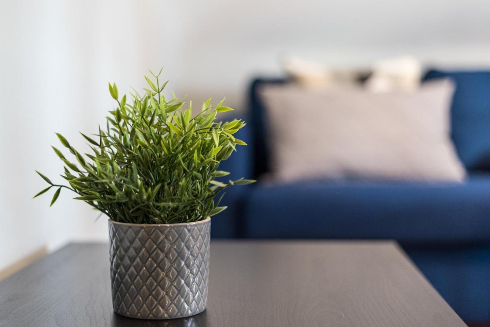 Guestready - Miragaia Rooftop Porto Buitenkant foto